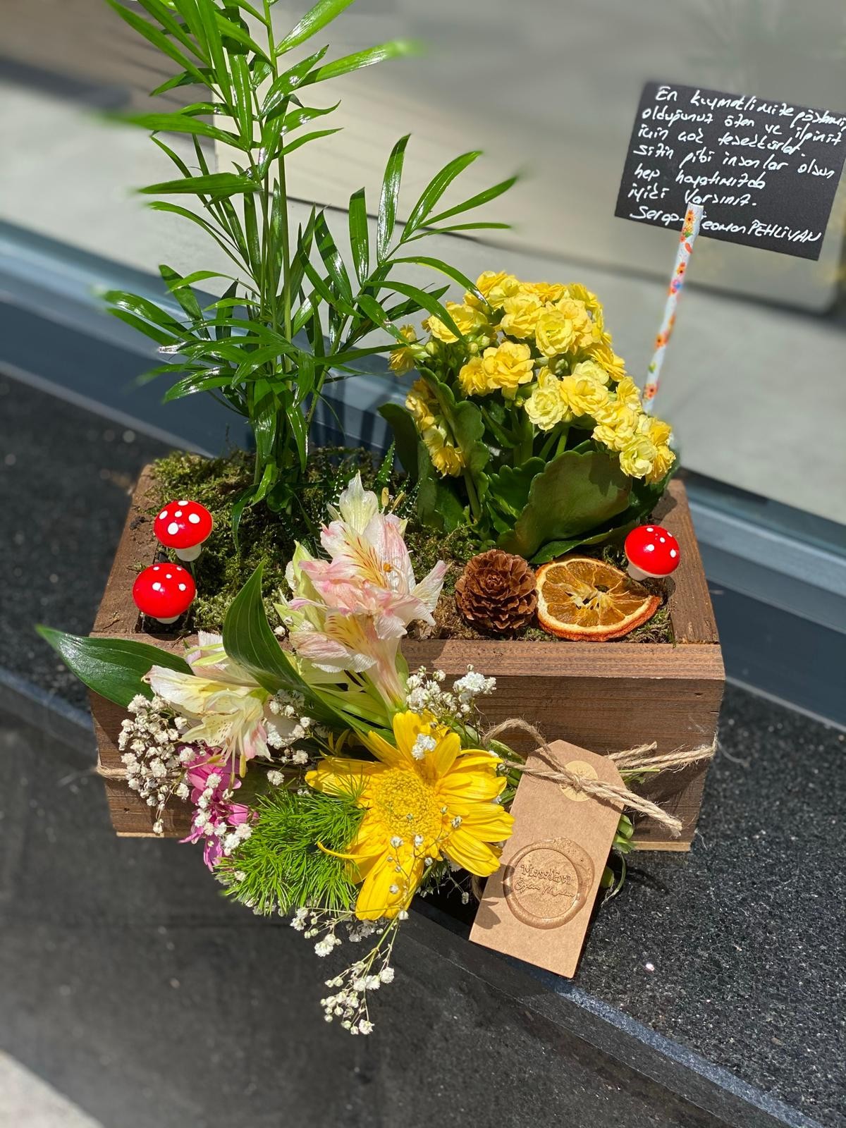 TSR-6</br> Fiyat alınız!